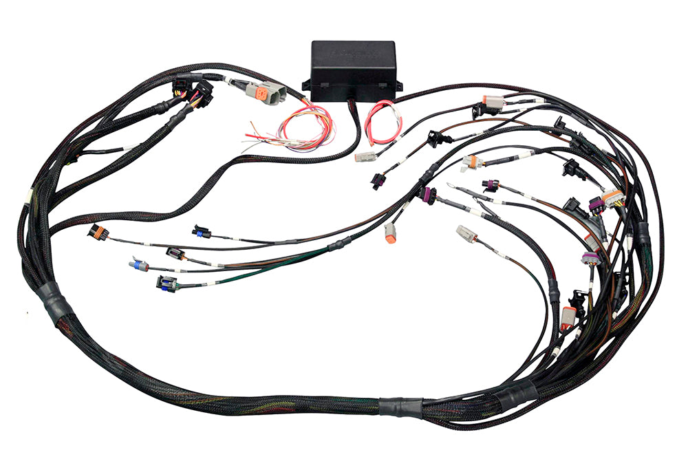 Elite 2000/2500 GM GEN III LS1 & LS6 non DBW Terminated Harness